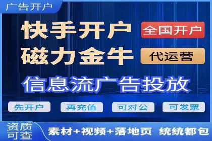 网络推广与竞价策略实战案例